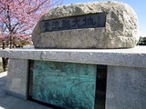 東日本大震災11-03-31久慈浜河津桜
