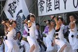常陸の国YOSAKOI祭りg水戸藩よさこい若衆