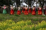 古河桃まつりフラダンス練習