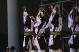 常陸の国YOSAKOI祭りg水戸藩よさこい若衆