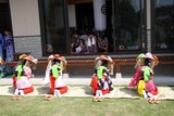 IMG_2783asd