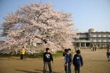 桜瑞龍小学校