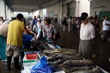 那珂湊かつお祭09-07-05(4)水産物販売
