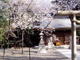 熊野神社
