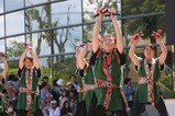 常陸の国YOSAKOI祭りf那須町桜城ヨサコイ連