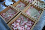 岩間烏よばり07-02-11