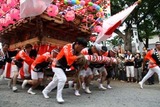 大助祭菅谷(1)仲の内町の山車