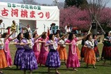 古河桃まつりフラフレンズ古河3