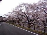 神峰公園