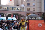 ¤Ò¤¿¤Á¹ñºÝÂçÆ»·ÝTOKYO»¨´ìµþ·àÃÄ