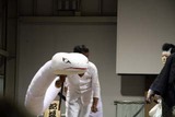 烏山やま上げ祭10-7-25(2)蛇姫様