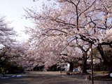 熊野神社