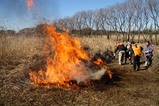 菅生沼の野焼き点火
