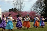 古河桃まつりフラフレンズ古河1