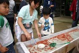 太田八幡宮例大祭選抜