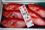 な那珂湊おさかな市場