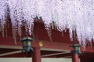 わくわく茨城 笠間稲荷神社 Livedoor Blog ブログ