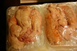 日立おさかなセンターc(2)