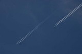 ���Ե���