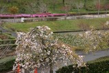 桜静峰公園