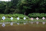 あじさい辰口親水公園