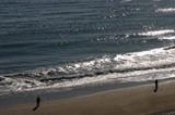 久慈浜いわし