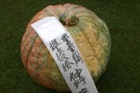 大子町お化けカボチャコンクール(3)重量部門