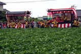 磯崎町夏祭り08-08-24(7)仲町