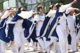 常陸の国YOSAKOI祭りd水戸藩ヨサコイ