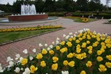 那珂茨城県植物園チュウリップ1