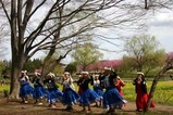 古河桃まつりフラダンス練習