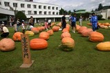 大子町お化けカボチャコンクール(3)重量部門
