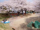 さ桜前原児童公園