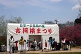 古河桃まつりチャーリー小川