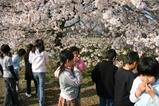 桜瑞龍小学校