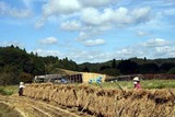 西塩子の回り舞台13-09-30組立て中
