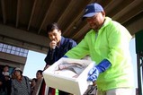 ひたちなかサンマ祭り08-10-19(7)模擬競り