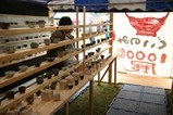 陶炎祭02ぐいのみ1000個展
