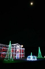クリスマスイルミネイション亀作縦