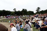 ひたちなかフラフェスティバル09-07-05仕分け(2)カレイオプアメリア
