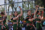 常陸の国YOSAKOI祭りf那須町桜城ヨサコイ連