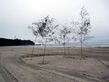 久慈浜海水浴場選抜