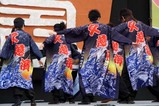 ひたち秋祭り郷土芸能大祭09-10-11(4)久慈浜ソーラン