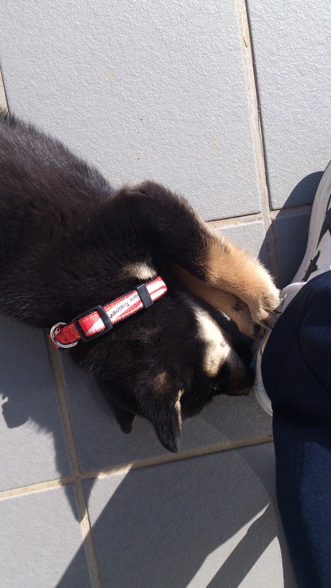image-28