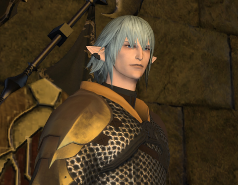 Ff14速報 オルシュファン好きに伝えてあげたい 黒チョコボ マウントの魅力 新生ff14日記