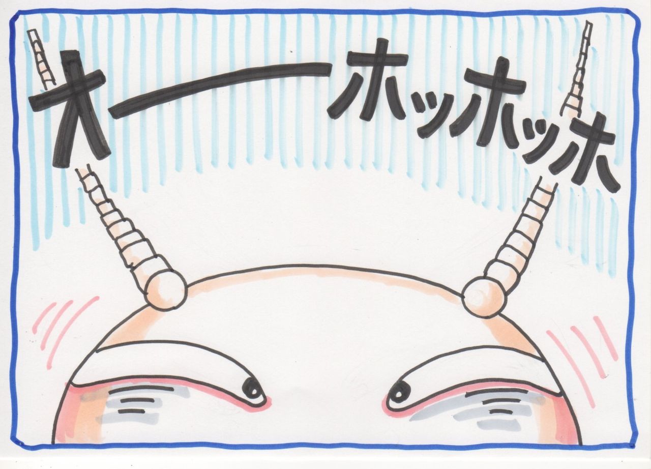 シロアリの一生 知りたくないかもしれませんが くらら日記