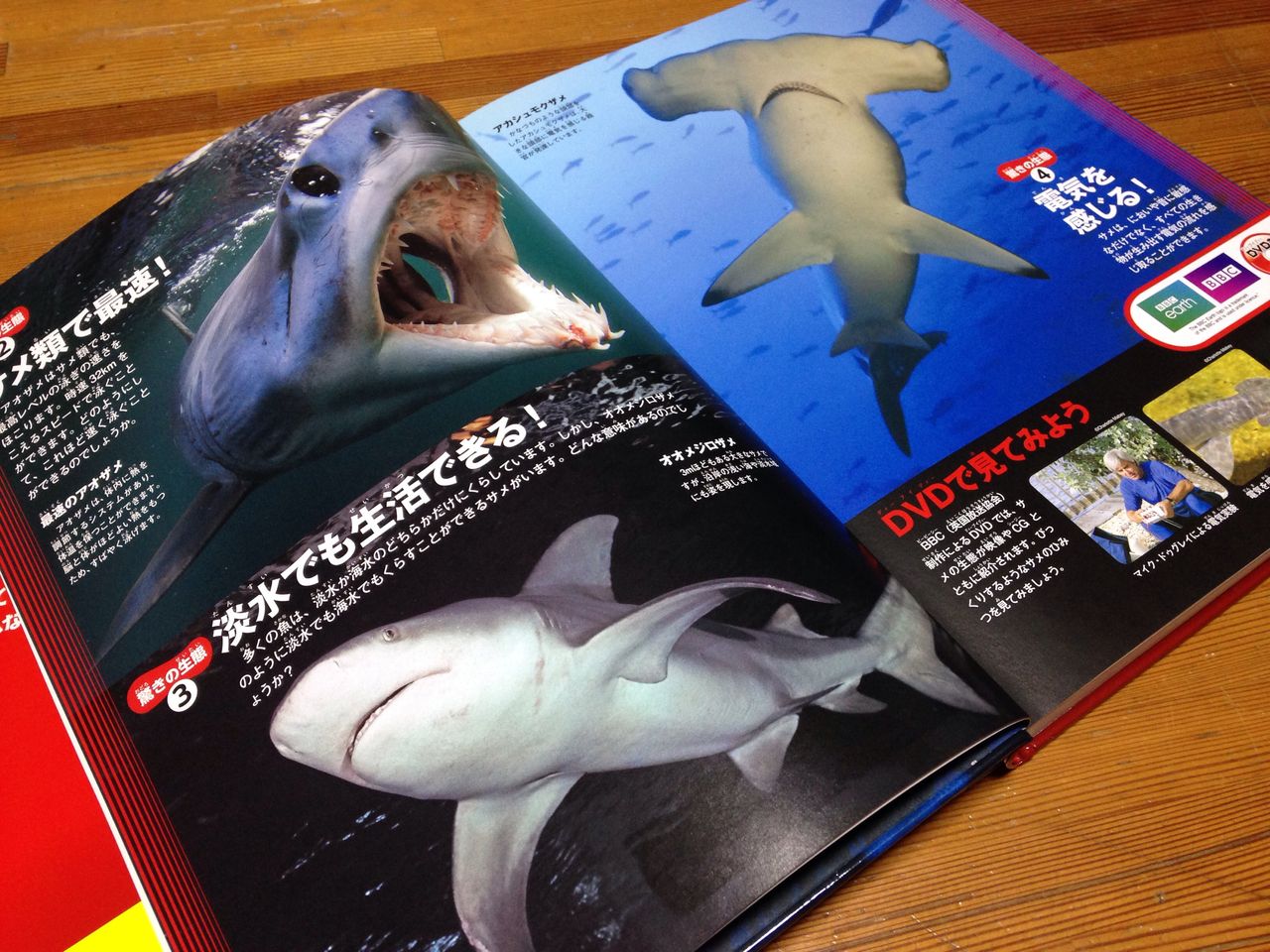 飛び出す図鑑 危険生物 くらら日記