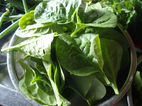 P7283645