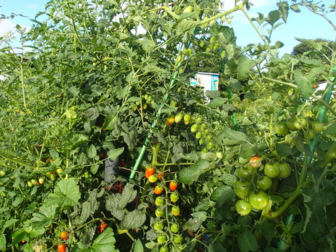 P7263601