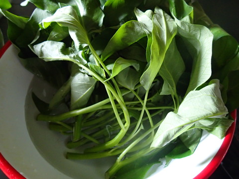 P7283643